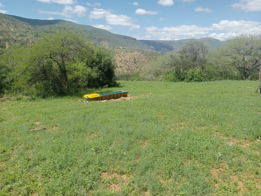 0 Bedroom Property for Sale in Stutterheim Rural Eastern Cape